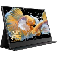 Portable Monitor
