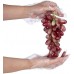 Plastic Disposable Gloves