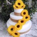 Sunflower - Fake