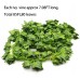 Ivy Leaves - Fake